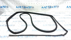 Door seal rear right Honda Accord 23-