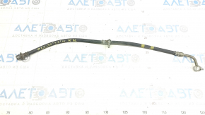 Brake hose rear right Honda Accord 23-