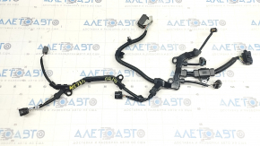 Wiring motor Honda Accord 23-
