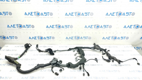 Wiring motor Honda Accord 23-