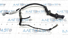 Wiring rear right door Honda Accord 23-