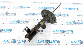 Shock absorber front left Nissan Murano z52 15- rusty