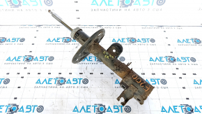 Shock absorber front right Nissan Murano z52 15- rusty