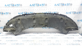 Chrysler Pacifica 17 Front Bumper Guard - Tears