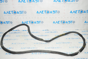 Door seal front right Ford Fusion mk5 13-20 tear