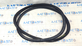 Door seal rear left Polestar 2 21-