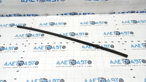 Chrysler Pacifica 17 Front Right Door Seal - Lower