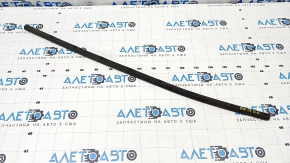 Chrysler Pacifica 17 Front Right Door Seal - Lower