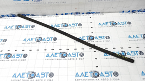 Chrysler Pacifica 17 Front Left Door Seal - Lower