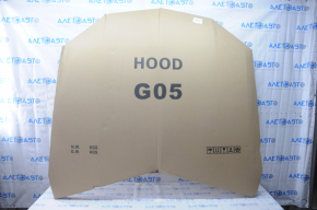 Hood bare BMW X5 G05 19-23 aluminum butts