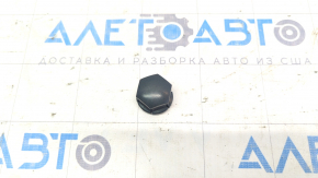 Wheel Bolt Cap Plug Polestar 2 21-