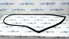 Door seal front left Chrysler Pacifica 17-
