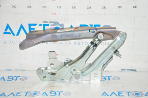 Hood hinge left Audi Q5 80A 18-24