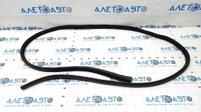 Door seal rear left Nissan Rogue 21-23 US built worn