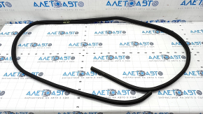 Door seal rear right Nissan Rogue 21-23 US built worn