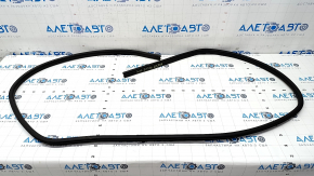 Door seal front left Nissan Rogue 21-23 US built worn