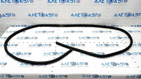 Door seal front right Nissan Rogue 21-23 US built worn