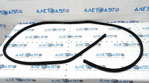 Door seal front right Nissan Rogue 21-23 US built worn