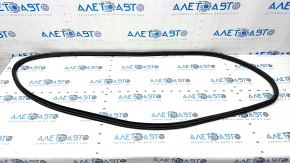 Front left door seal BMW X3 G01 18-21 worn
