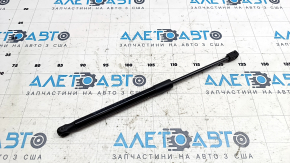 Hood shock absorber left Tesla Model S 21-