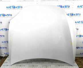 Tesla Model S 21 Naked Hood - White PPSW, Aluminum