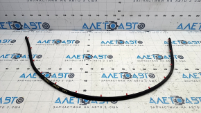 Tesla Model S Hood Seal 21- on the hood