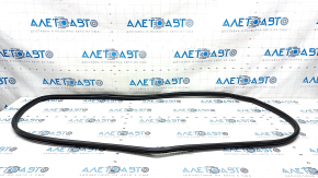Door seal front left Toyota Rav4 19-