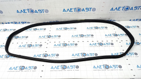 Kia Forte 19-24 4d Trunk Lid Seal