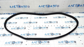 Door seal rear left Kia Forte 19-24 4d