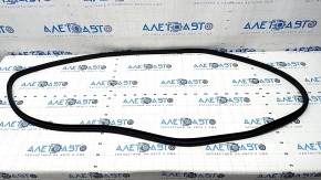 Door seal front left Kia Forte 19-24
