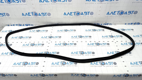 Front left door seal Kia Forte 19-24 worn