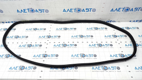 Door seal front right Kia Forte 19-24