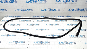 The door seal of the rear left Kia Forte 19-24 4d is torn