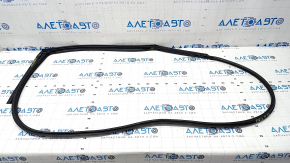 The door seal of the rear left Kia Forte 19-24 4d is torn