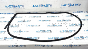 Door seal rear right Kia Forte 19-24 4d