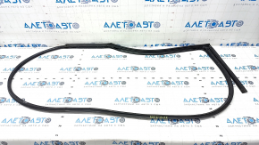 Door seal rear right Kia Forte 19-24 4d