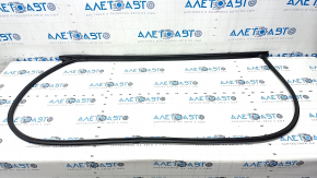 Front left door seal Kia Forte 19-24