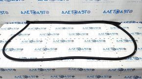 Front right door seal Kia Forte 19-24