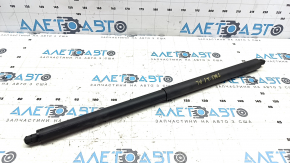 Left Trunk Door Shock Absorber Tesla Model S 21-