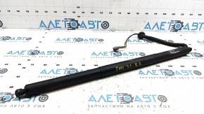 Trunk Door Shock Absorber Right Tesla Model S 21- Electric