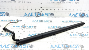 Trunk Door Shock Absorber Right Tesla Model S 21- Electric