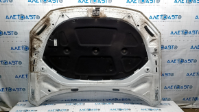 Hood assembly VW Passat b8 16-19 USA white LC9A, steel, butt