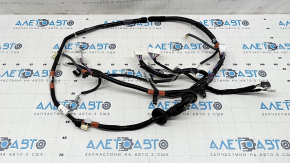 Toyota Rav4 19- Trunk Door Wiring