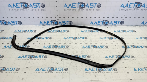 Door seal on the threshold left Tesla Model S 21-