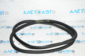 Door seal front left Ford Mustang Mach-E 21-23