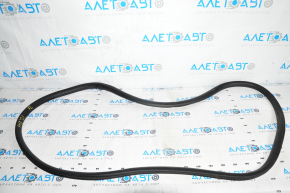 Door seal front left Ford Mustang Mach-E 21-23