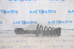 Shock absorber strut assembly rear right Lexus ES350 07-12 torn boot, rusty