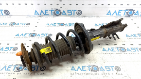 Shock absorber strut assembly front left Chevrolet Bolt EUV 22-23 rust