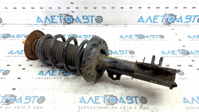 Shock absorber strut assembly front right Chevrolet Bolt EUV 22-23 rust