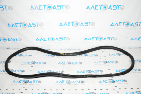 Door seal rear left Ford Mustang Mach-E 21-23